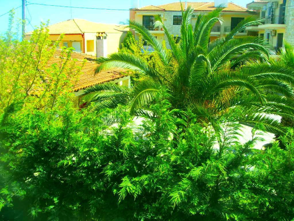 Sivilla Boutique أفيتوس المظهر الخارجي الصورة